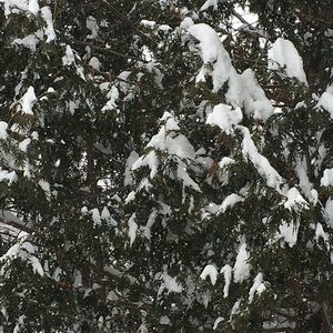 Meet your Posher, Logan